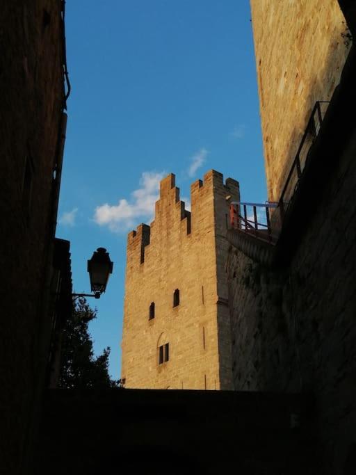 Le Soleil D Eugenie Appartement Dans Residence Avec Piscine Commune Pres De Carcassonne Olonzac Eksteriør billede
