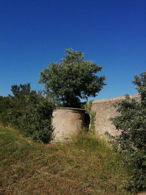 Le Soleil D Eugenie Appartement Dans Residence Avec Piscine Commune Pres De Carcassonne Olonzac Eksteriør billede