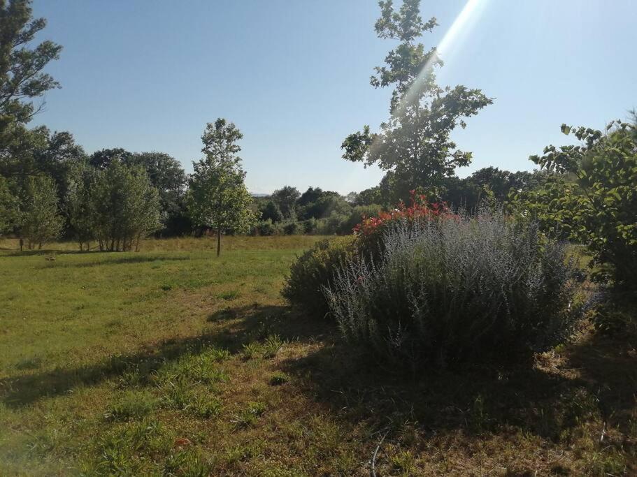 Le Soleil D Eugenie Appartement Dans Residence Avec Piscine Commune Pres De Carcassonne Olonzac Eksteriør billede