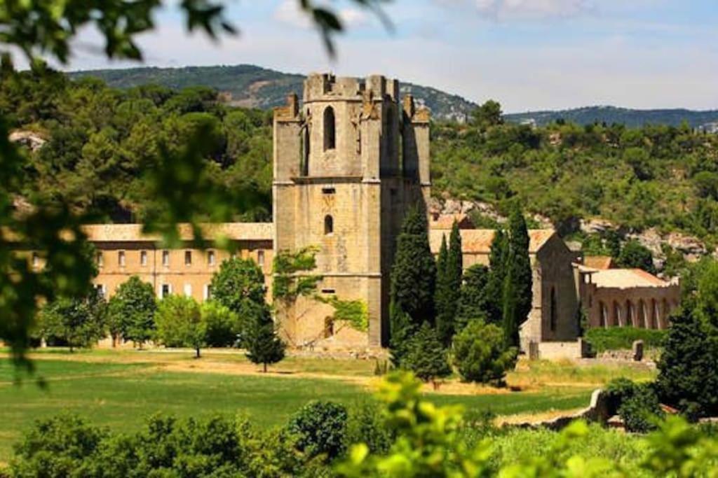 Le Soleil D Eugenie Appartement Dans Residence Avec Piscine Commune Pres De Carcassonne Olonzac Eksteriør billede