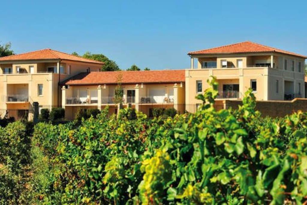 Le Soleil D Eugenie Appartement Dans Residence Avec Piscine Commune Pres De Carcassonne Olonzac Eksteriør billede