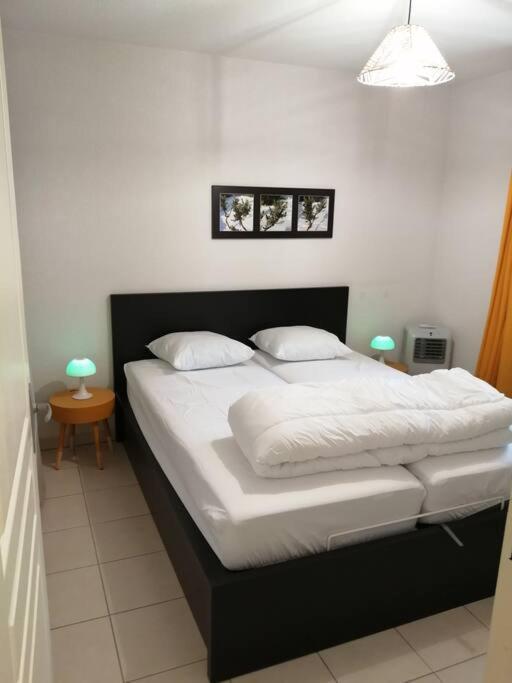 Le Soleil D Eugenie Appartement Dans Residence Avec Piscine Commune Pres De Carcassonne Olonzac Eksteriør billede