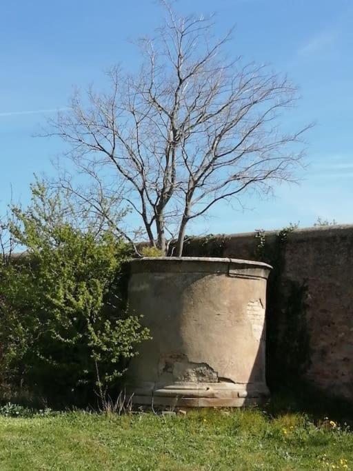 Le Soleil D Eugenie Appartement Dans Residence Avec Piscine Commune Pres De Carcassonne Olonzac Eksteriør billede
