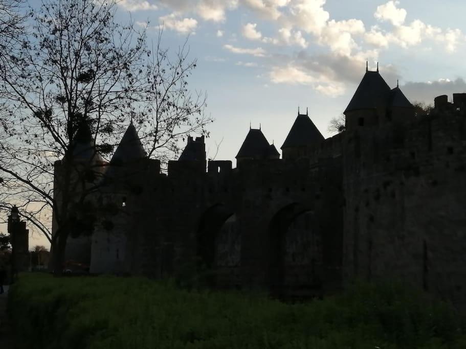 Le Soleil D Eugenie Appartement Dans Residence Avec Piscine Commune Pres De Carcassonne Olonzac Eksteriør billede