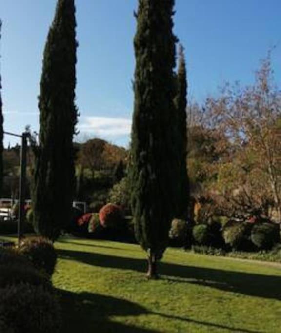 Le Soleil D Eugenie Appartement Dans Residence Avec Piscine Commune Pres De Carcassonne Olonzac Eksteriør billede