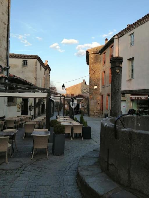 Le Soleil D Eugenie Appartement Dans Residence Avec Piscine Commune Pres De Carcassonne Olonzac Eksteriør billede