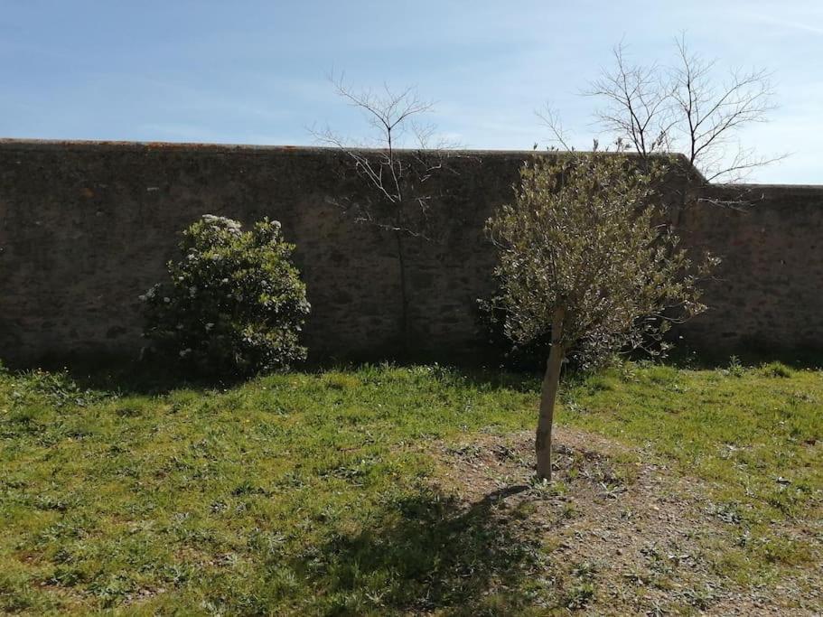 Le Soleil D Eugenie Appartement Dans Residence Avec Piscine Commune Pres De Carcassonne Olonzac Eksteriør billede